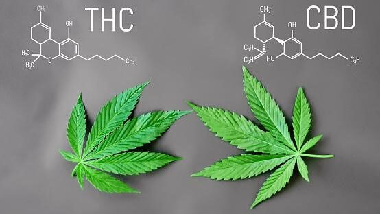 CBD and THC Chemical Structure
