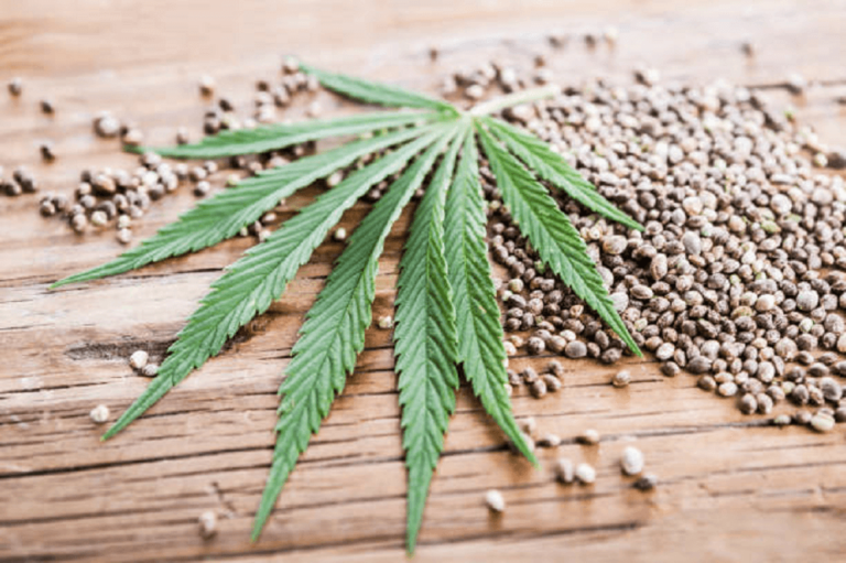 Feminize Cannabis Seeds